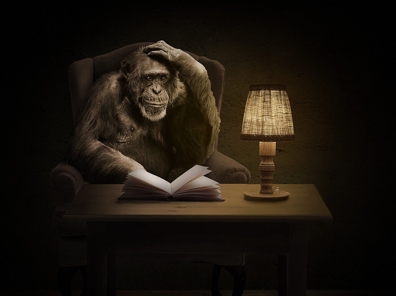 ape-1757972_1280